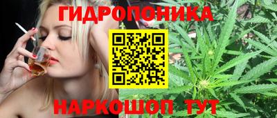 альфа пвп Кингисепп