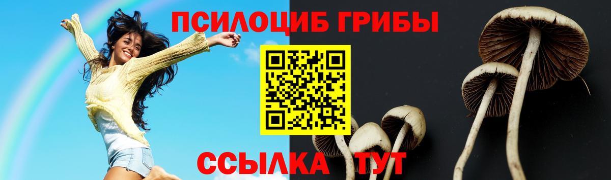 Галлюциногенные грибы мицелий Кропоткин